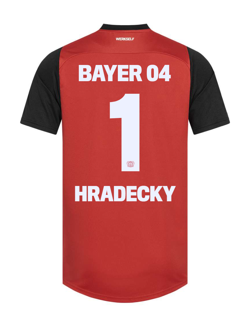 24-25 Bayer Leverkusen Hradecky 1 Home Soccer Jersey