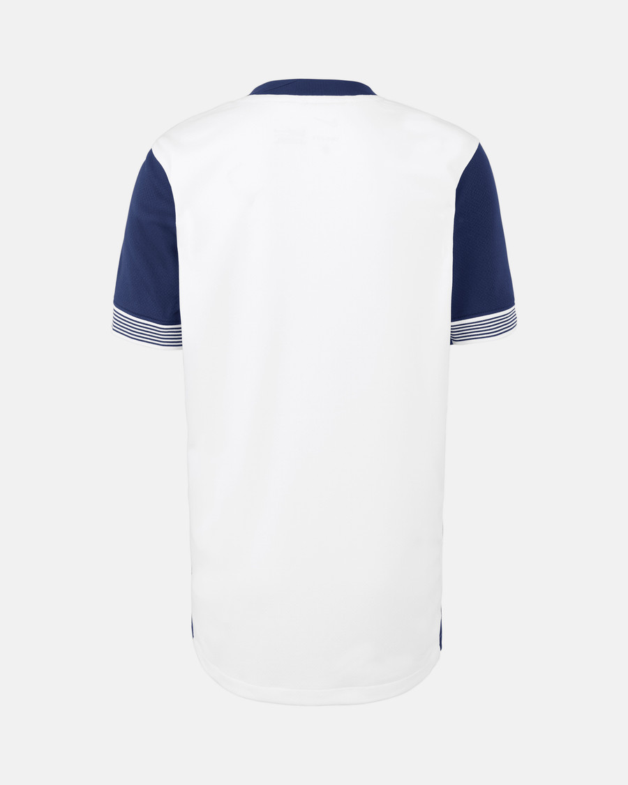 Tottenham Hotspur Home Soccer Jersey 24-25 Back