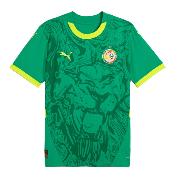 Senegal Away Jersey 24-25