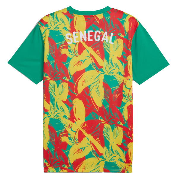 Senegal Pre Match Jersey 24-25