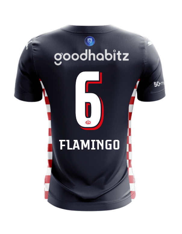 PSV Eindhoven Away Flamingo 6 Jersey 25-26