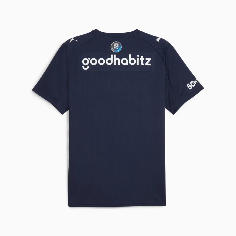 PSV Eindhoven Away Jersey 25-26