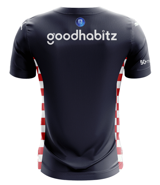 PSV Eindhoven Away Jersey 25-26