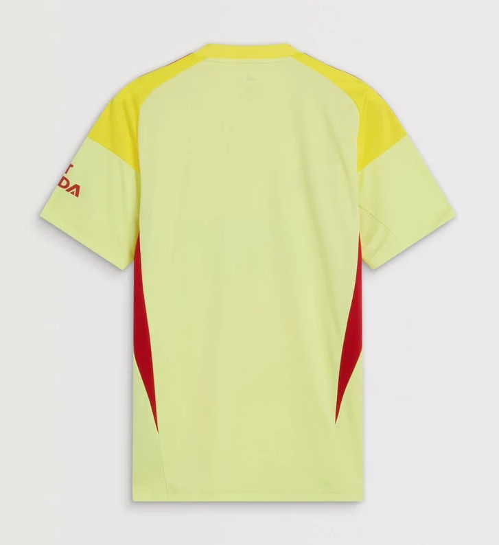 Arsenal Goalkeeper Jersey 25-26