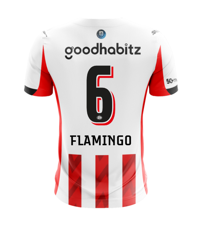PSV Eindhoven Home FLAMINGO 6 Jersey 25-26