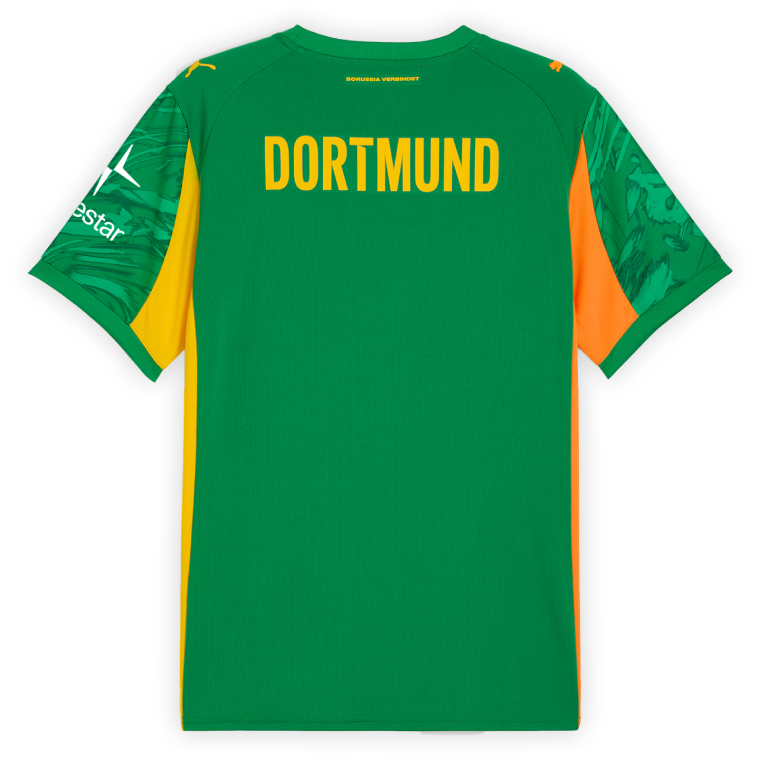 Borussia Dortmund Goalkeeper Green Jersey 25-26