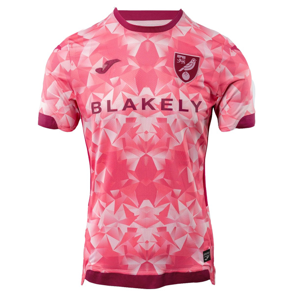 Norwich City Third Jersey 25-26