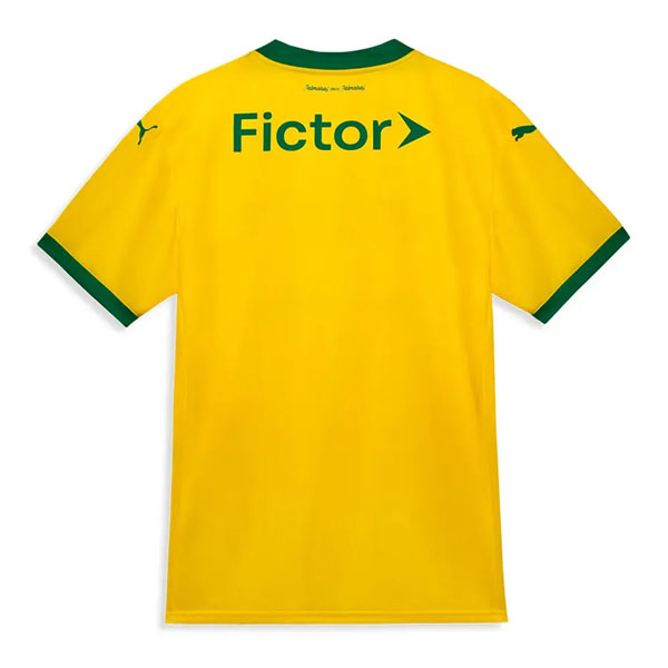 Palmeiras Third Soccer Jersey 25-26